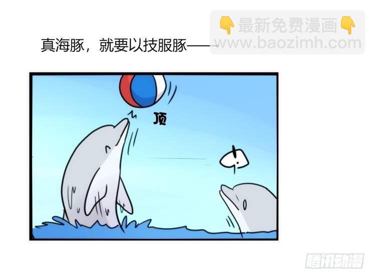海中精灵：欢喜冤家？