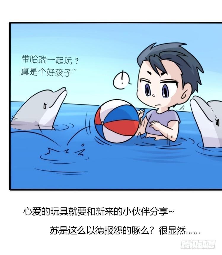 海中精灵：欢喜冤家？