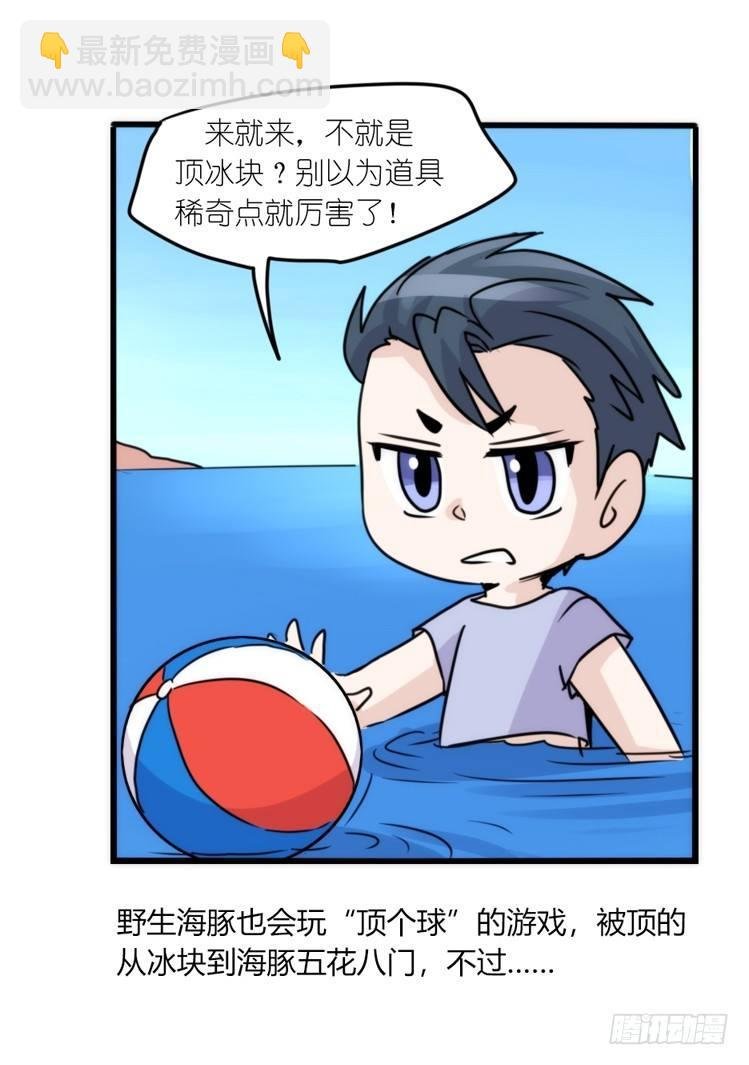 海中精灵：欢喜冤家？