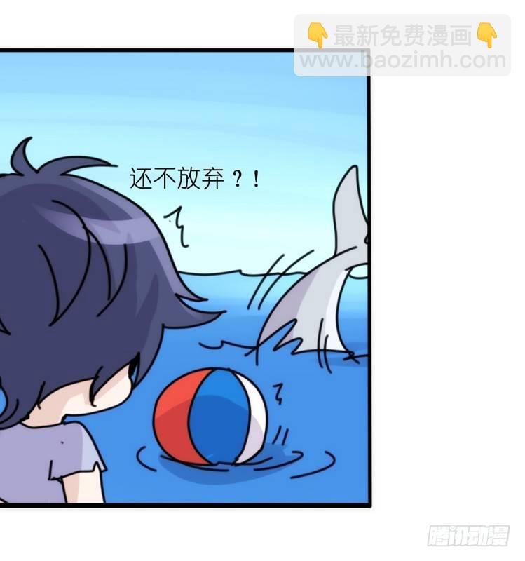 海中精灵：欢喜冤家？
