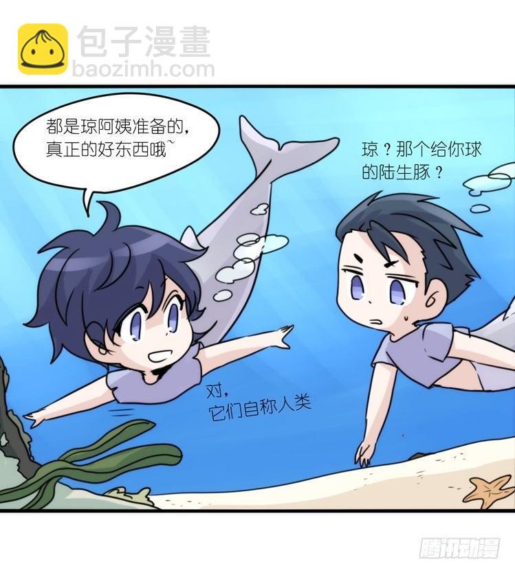 海洋精灵：豚会玩
