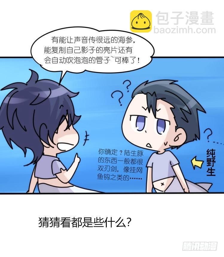 海洋精灵：豚会玩