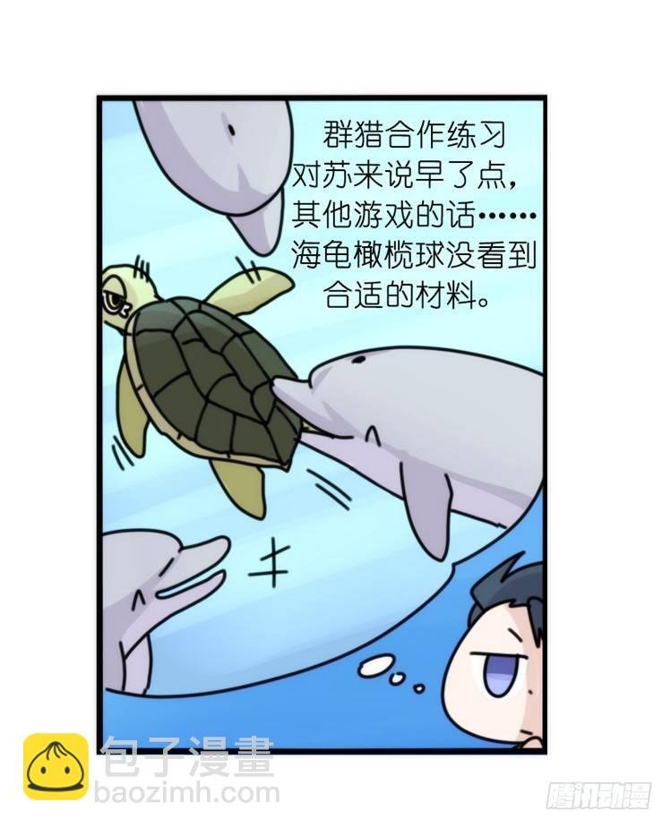 海洋精灵：豚会玩