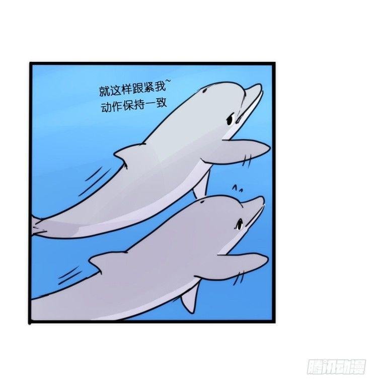 海洋精灵：豚会玩