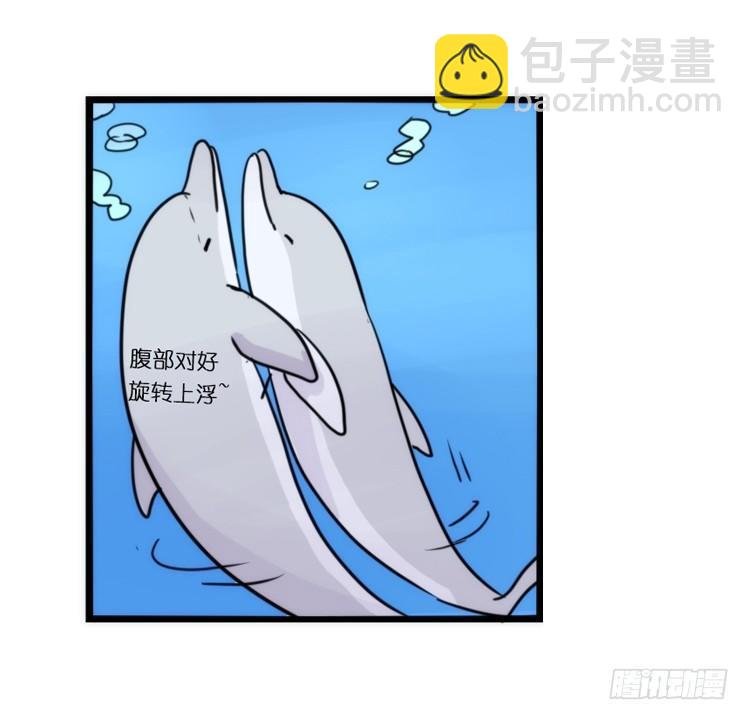 海洋精灵：豚会玩
