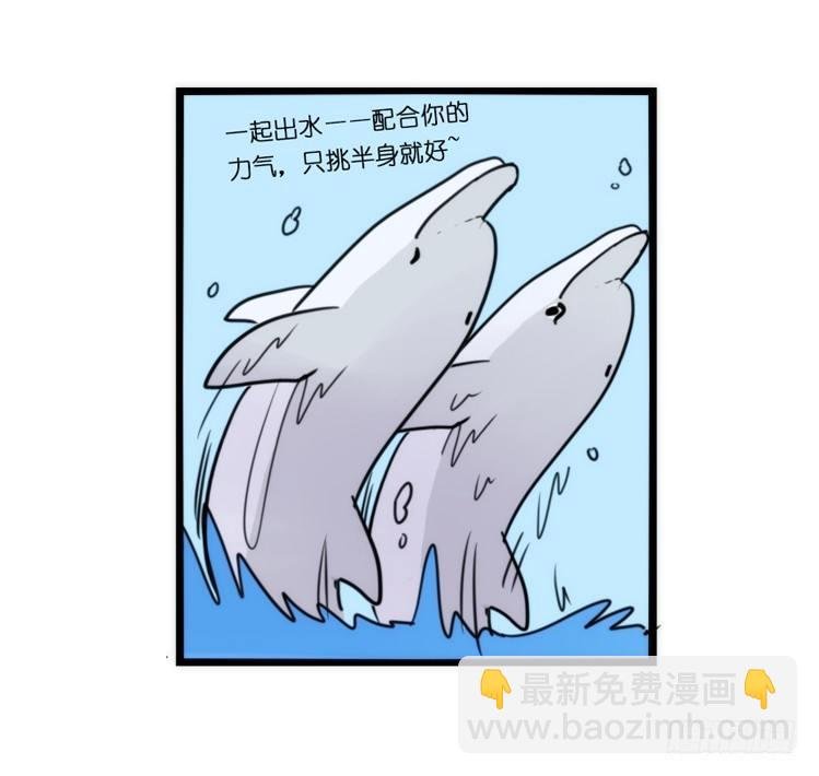 海洋精灵：豚会玩