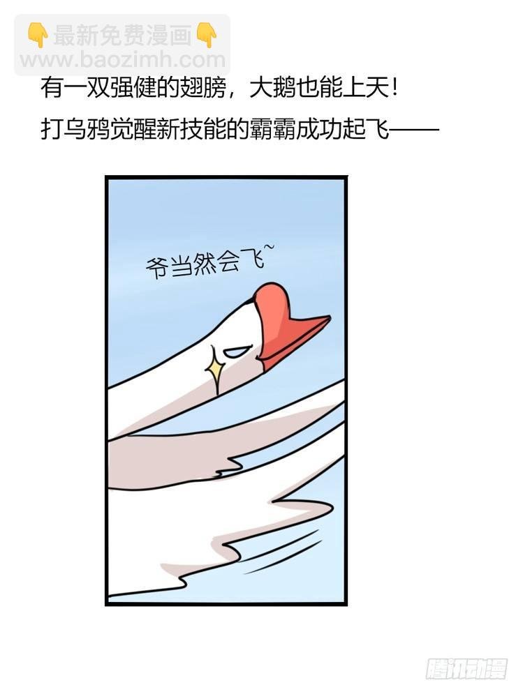 海洋精灵：豚会玩