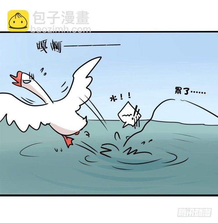 海洋精灵：豚会玩