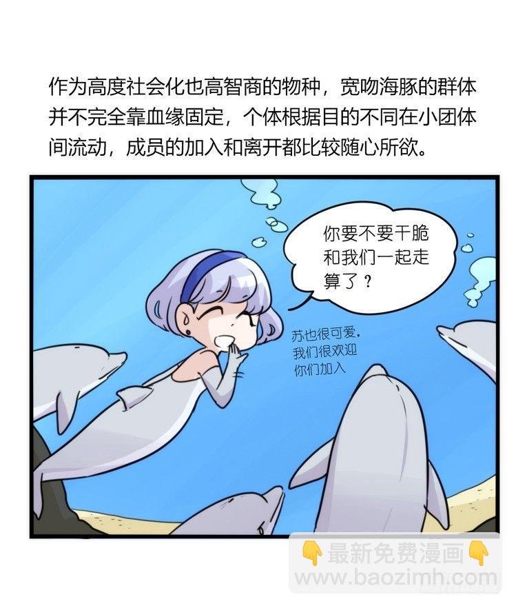 海洋精灵：约好了！（+鹅霸剧场2