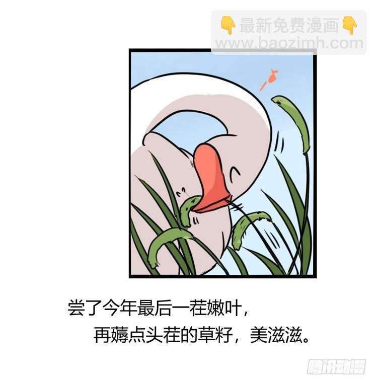海洋精灵：约好了！（+鹅霸剧场2