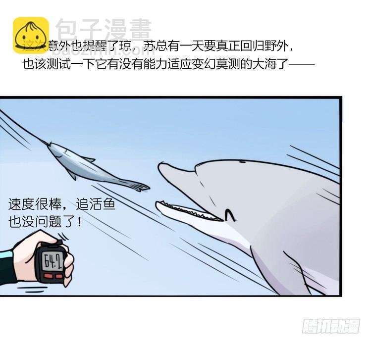 海洋精灵：成长的代价
