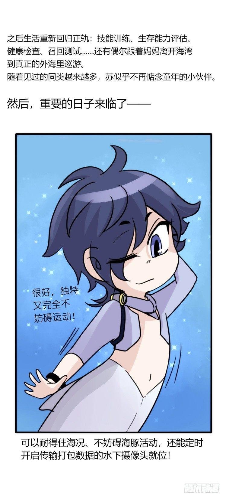 海洋精灵：成长的代价