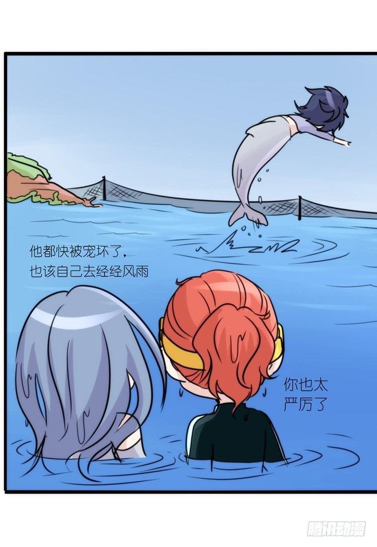 海洋精灵：成长的代价