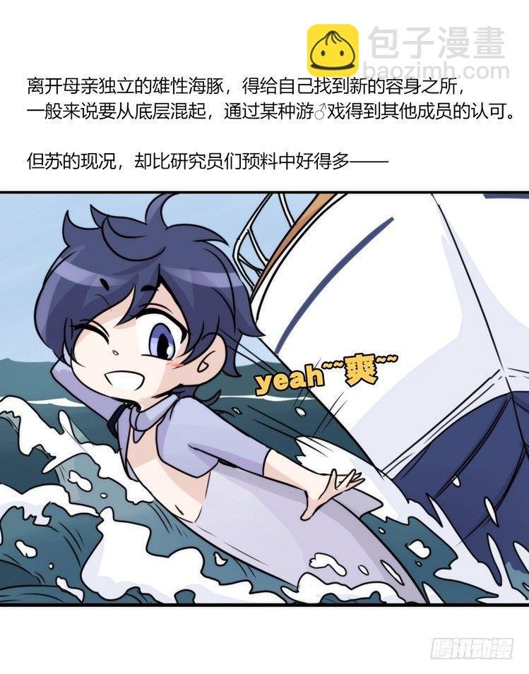 海洋精灵：成长的代价