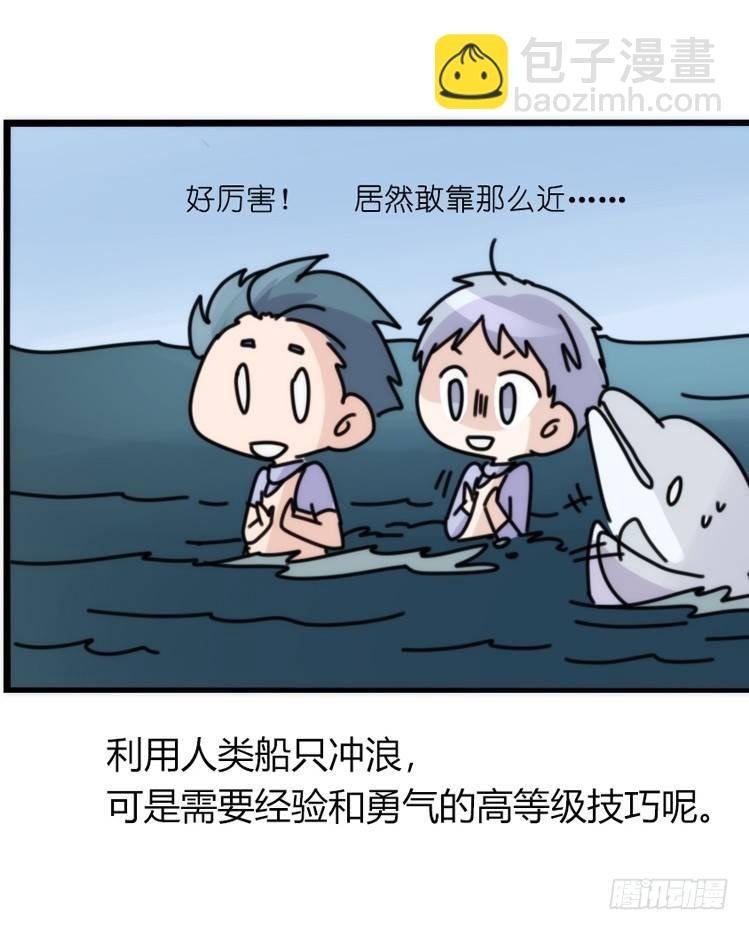 海洋精灵：成长的代价