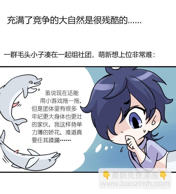 海洋精灵：心机BOY的崛起