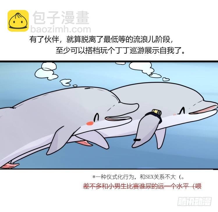 海洋精灵：心机BOY的崛起