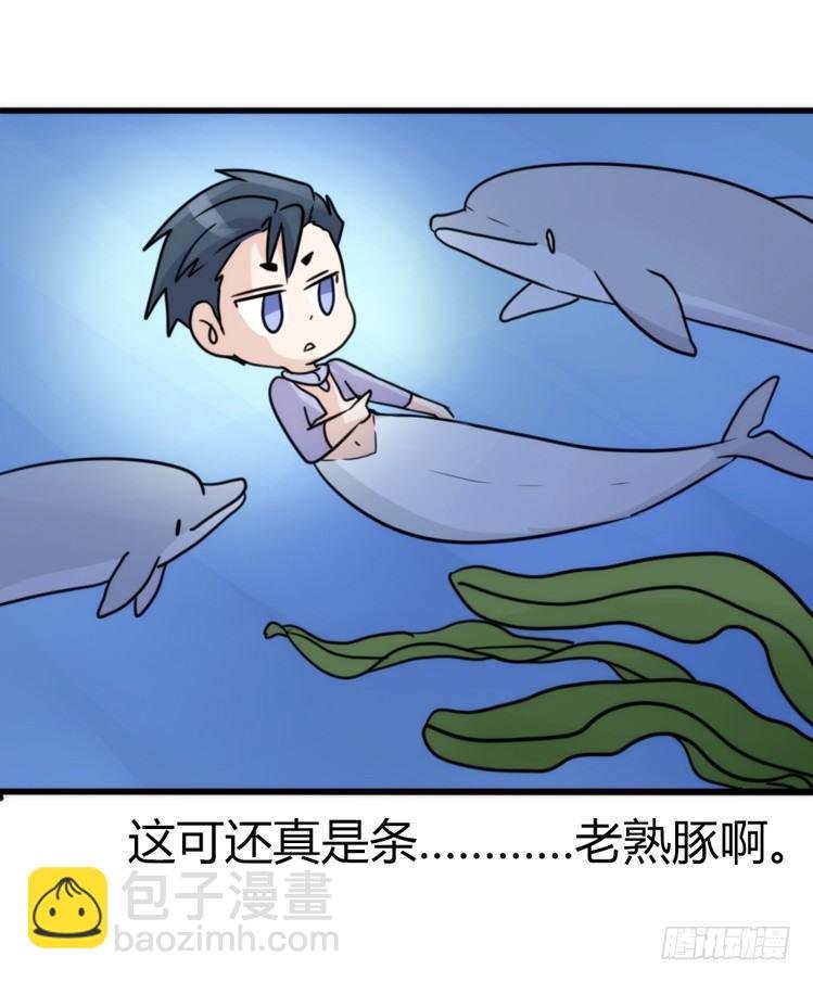 海洋精灵：心机BOY的崛起