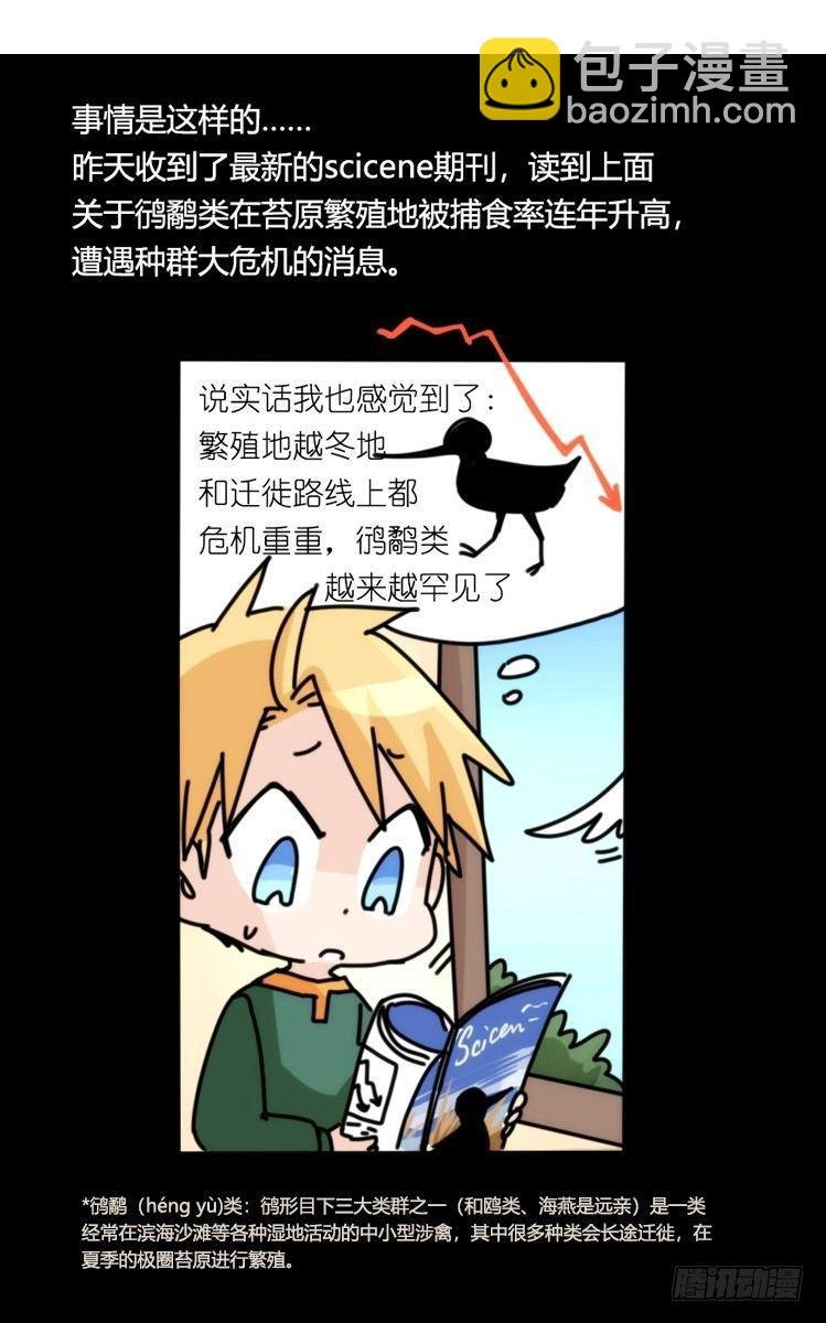 圣诞番外：特别礼物