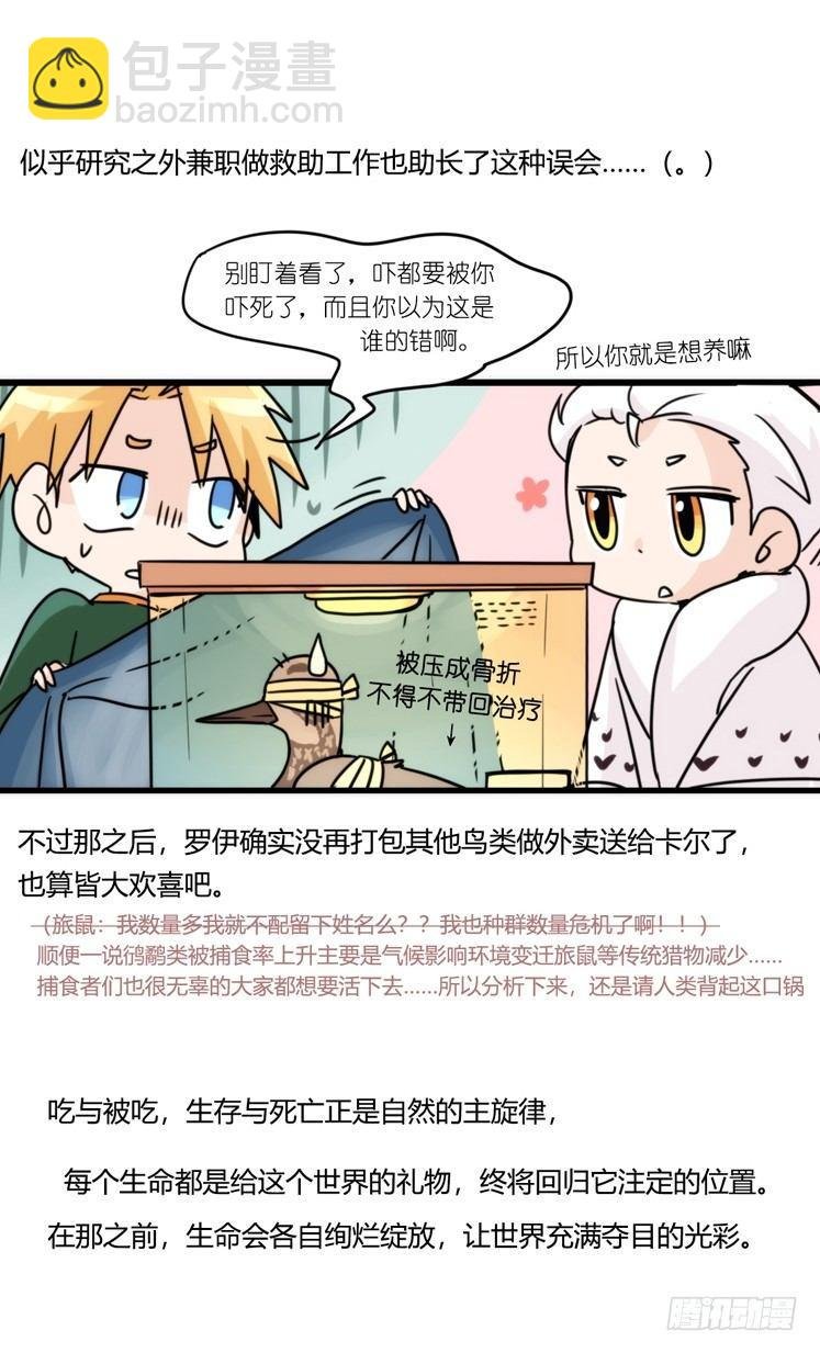 圣诞番外：特别礼物
