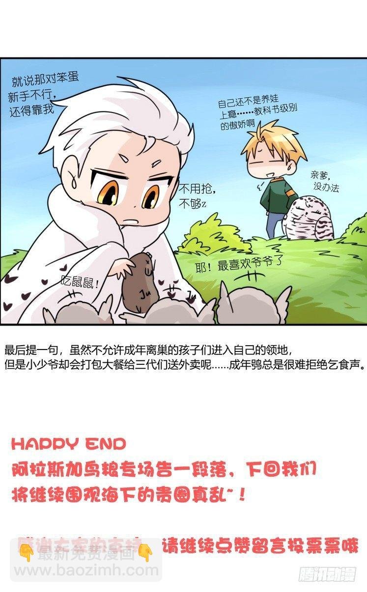 圣诞番外：特别礼物