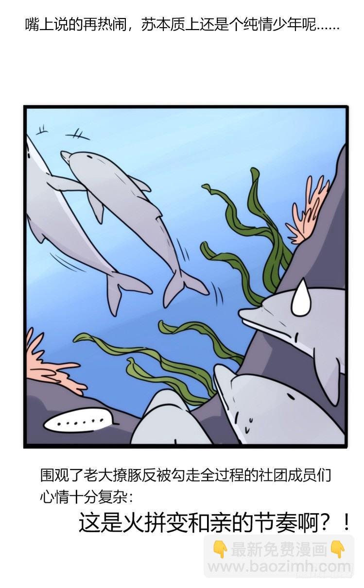 海洋精灵：重逢的正确姿♂势