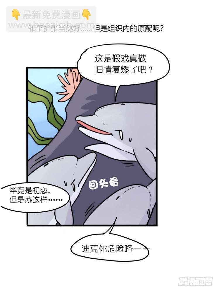 海洋精灵：重逢的正确姿♂势