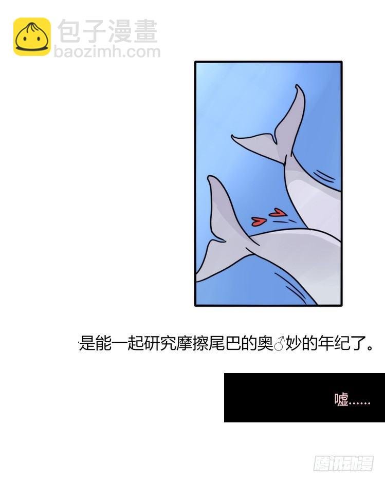 海洋精灵：重逢的正确姿♂势