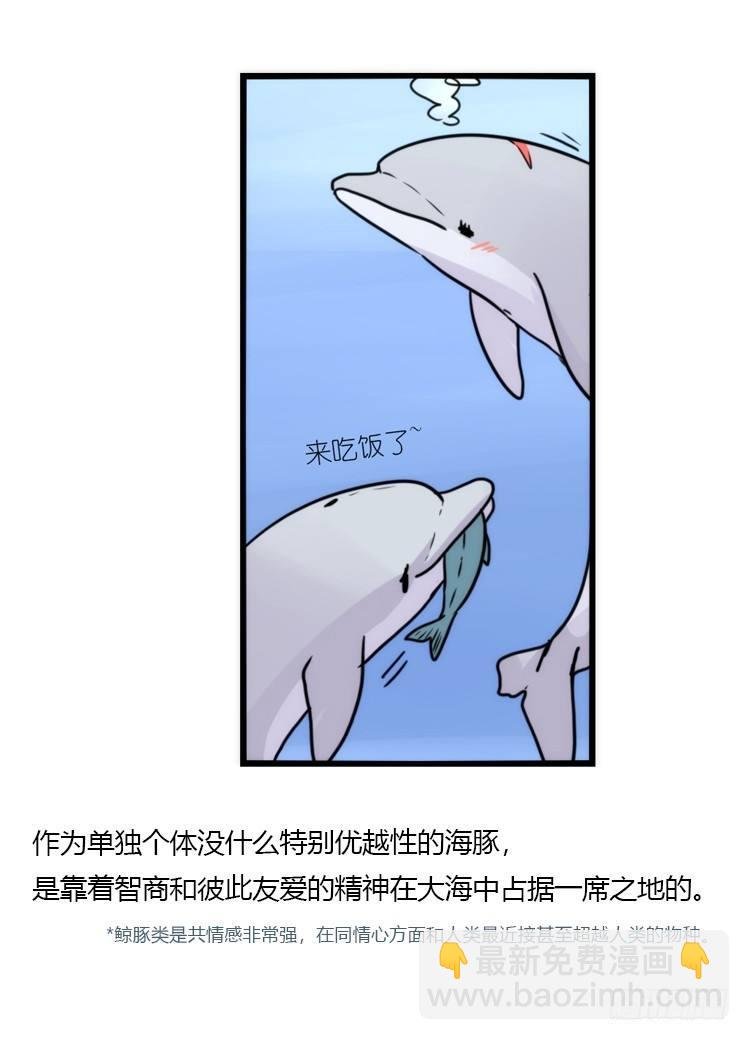 海洋精灵：反派BOSS……们？