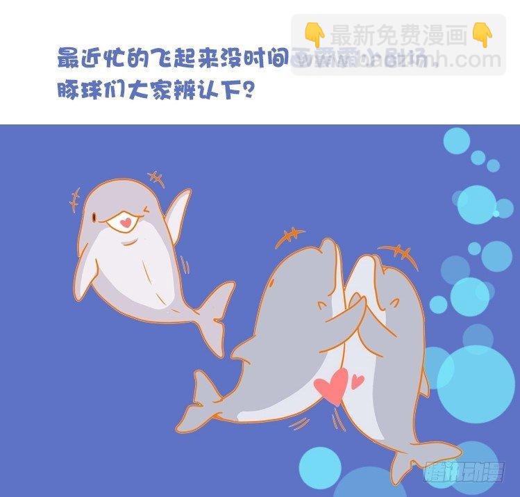 海洋精灵：反派BOSS……们？