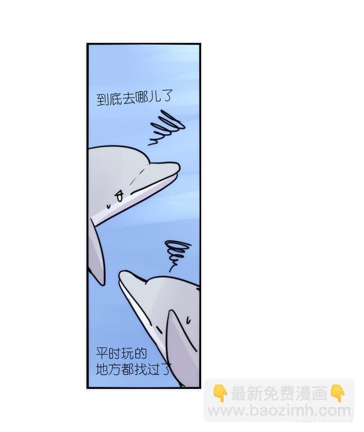 海洋精灵：大白鲨I-大片固定开头