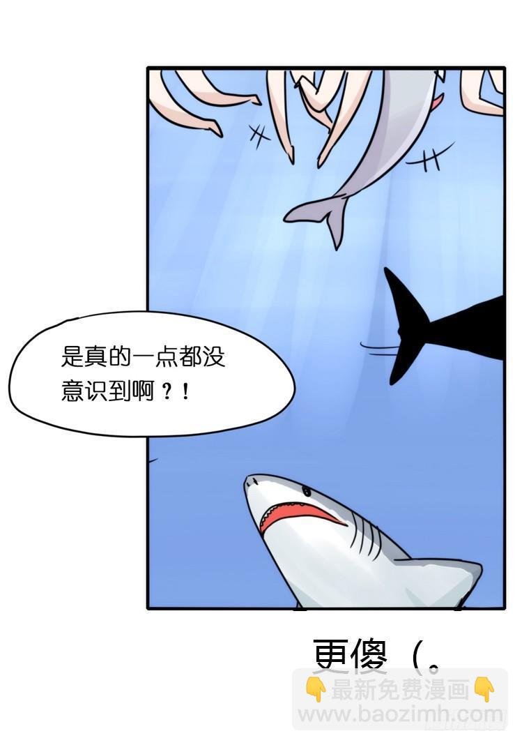 海洋精灵：大白鲨I-大片固定开头