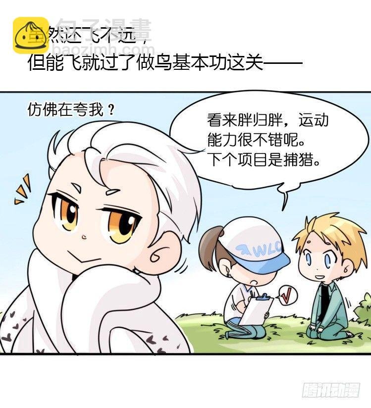 飞吧小少爷：上学去（下）