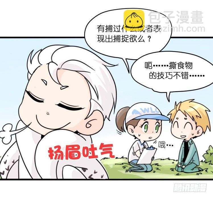 飞吧小少爷：上学去（下）