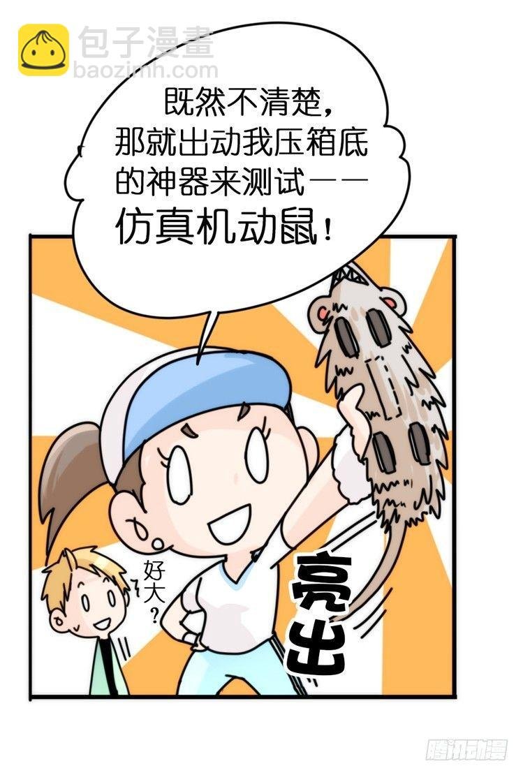 飞吧小少爷：上学去（下）