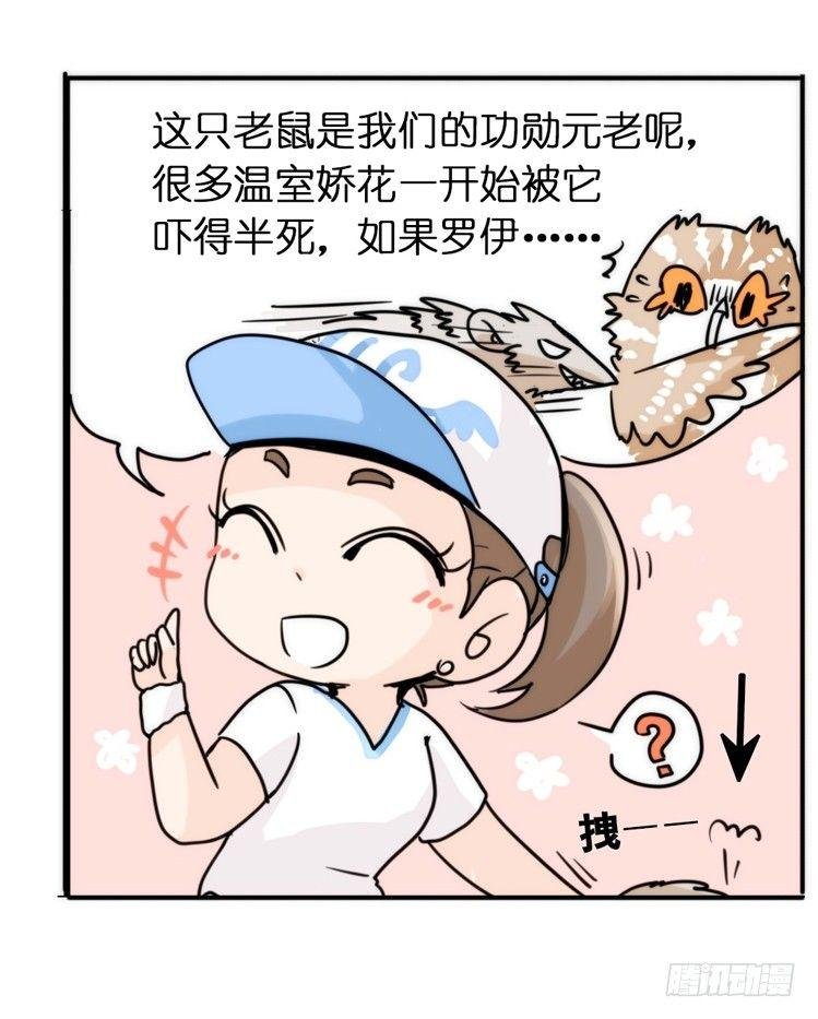 飞吧小少爷：上学去（下）