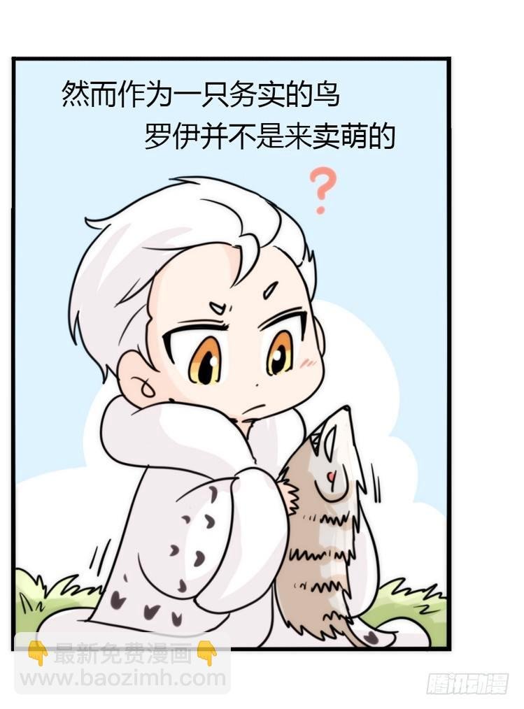 飞吧小少爷：上学去（下）