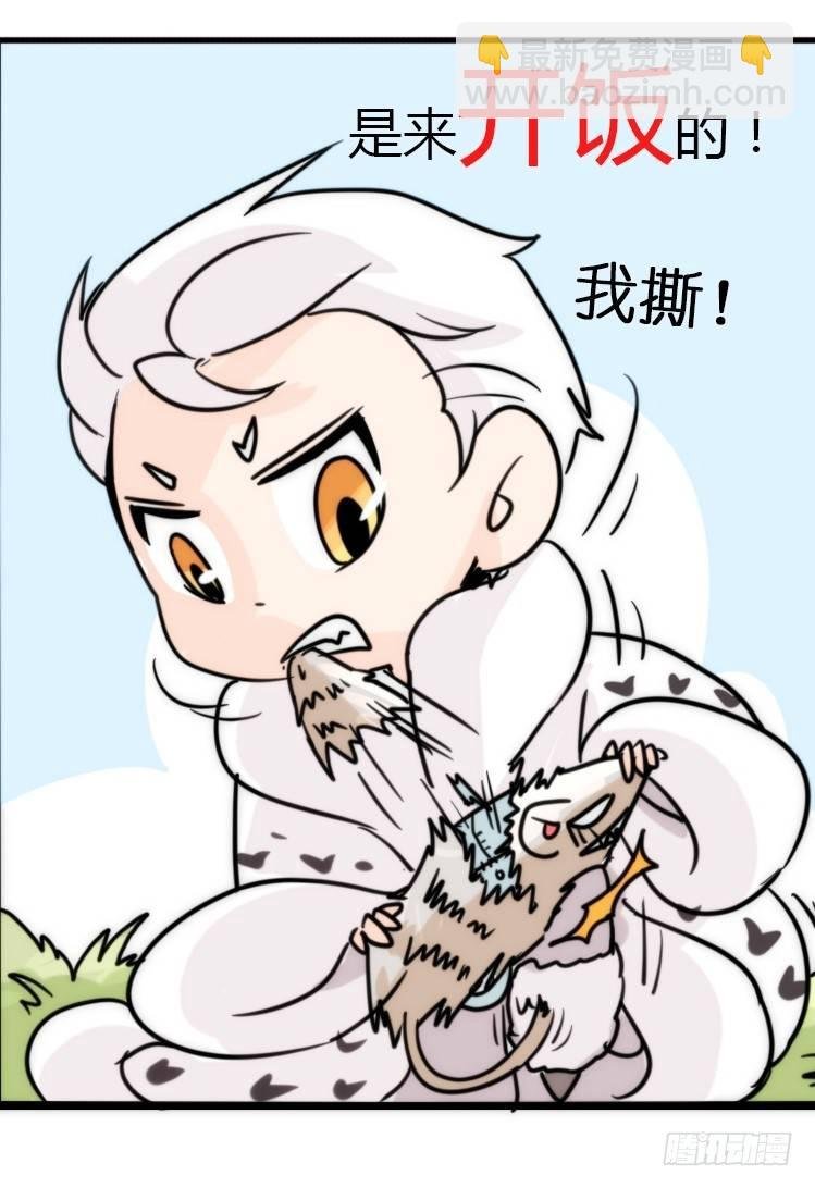 飞吧小少爷：上学去（下）