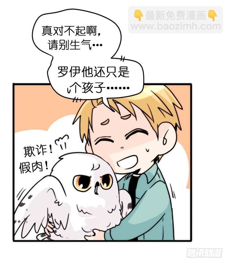 飞吧小少爷：上学去（下）