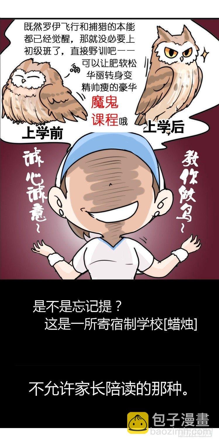 飞吧小少爷：上学去（下）