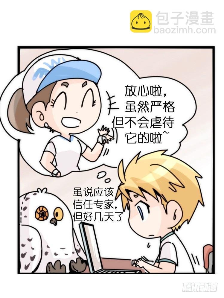 飞吧小少爷：上学去（下）