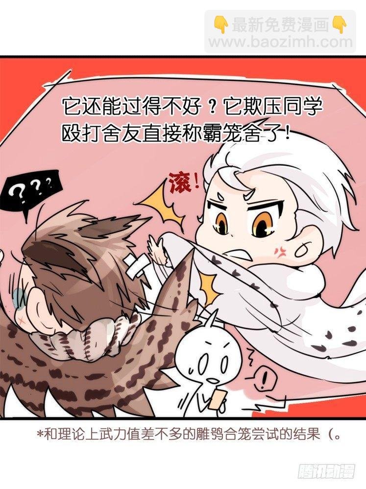 飞吧小少爷：上学去（下）