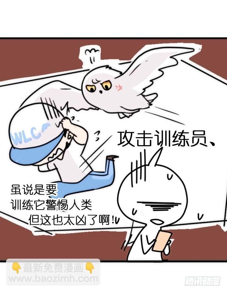 飞吧小少爷：上学去（下）