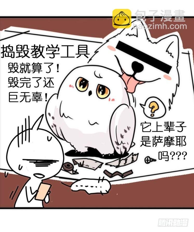 飞吧小少爷：上学去（下）
