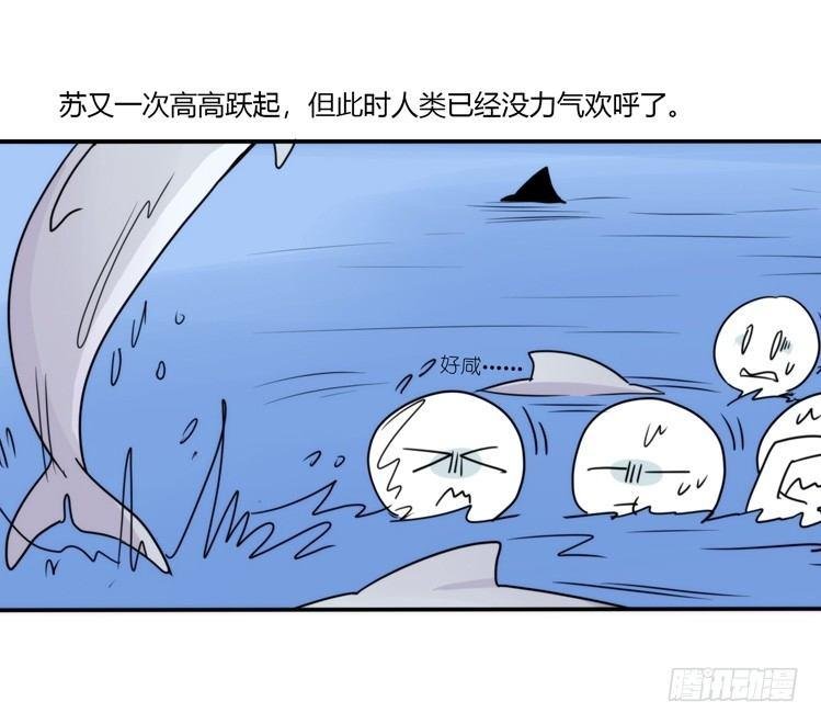 大白鲨III-一战成名