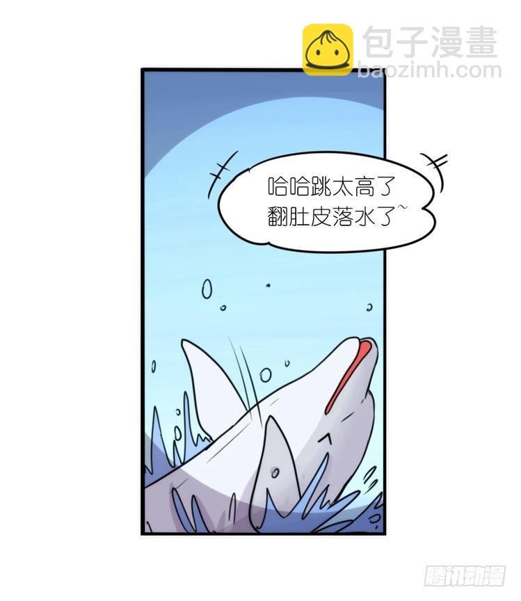 大白鲨III-一战成名