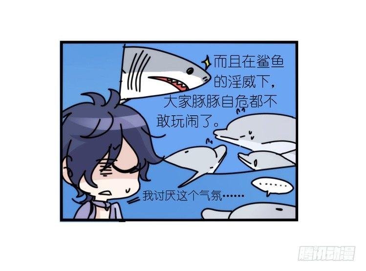 大白鲨III-一战成名