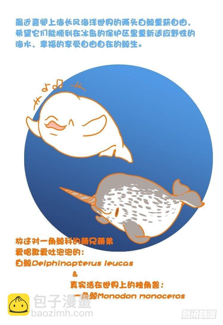 大白鲨III-一战成名