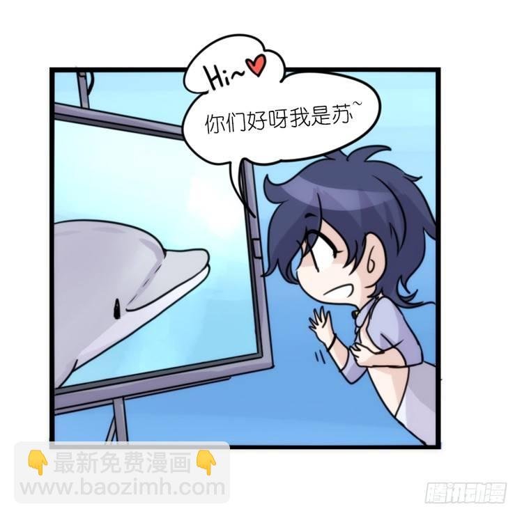 海洋精灵：大白鲨IV-教学？