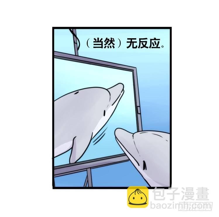 海洋精灵：大白鲨IV-教学？